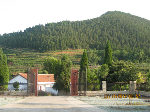 �ֳ�����